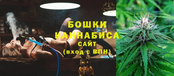 прущие грибы Кулебаки